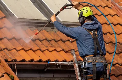Démoussage et hydrofuge de toiture à Pleugueneuc